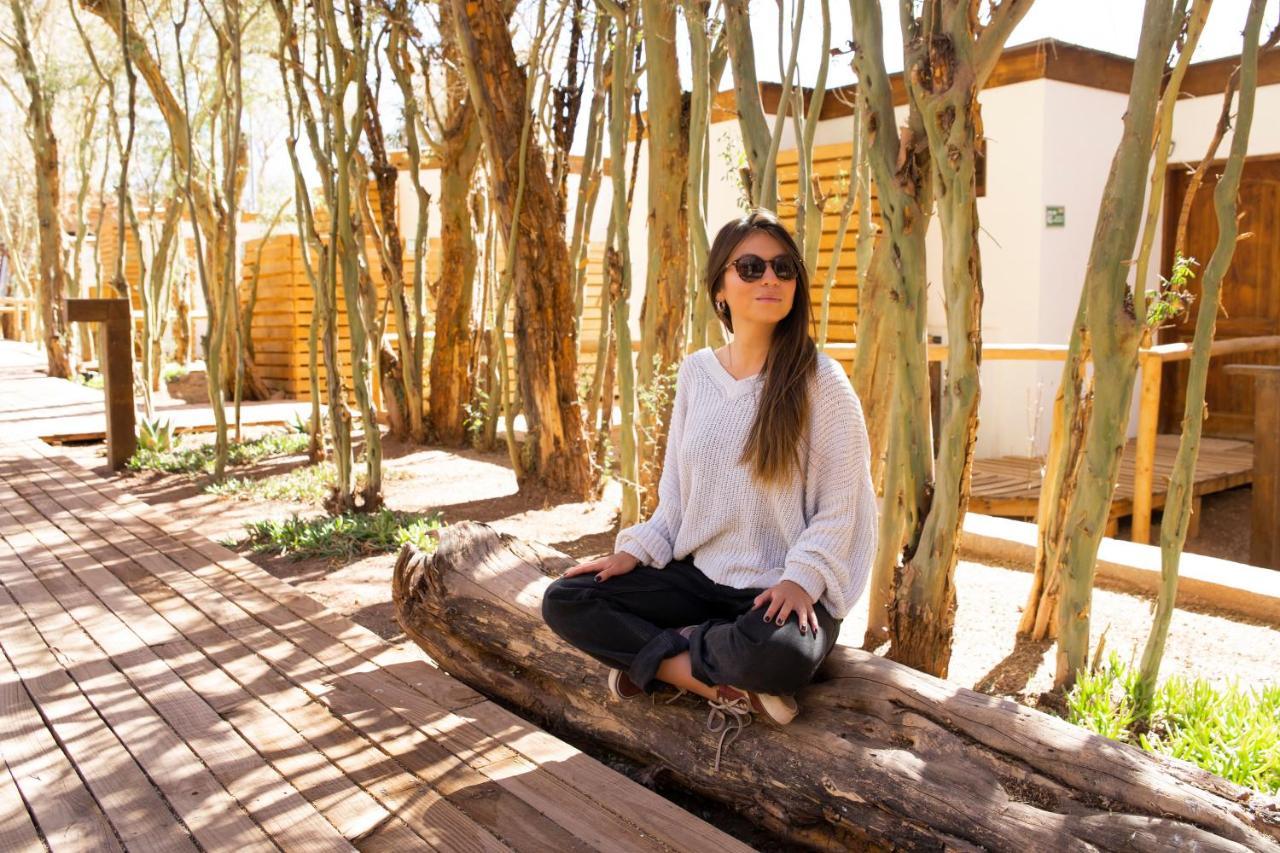 Lodge Quelana 圣佩德罗·德·阿塔卡马 外观 照片