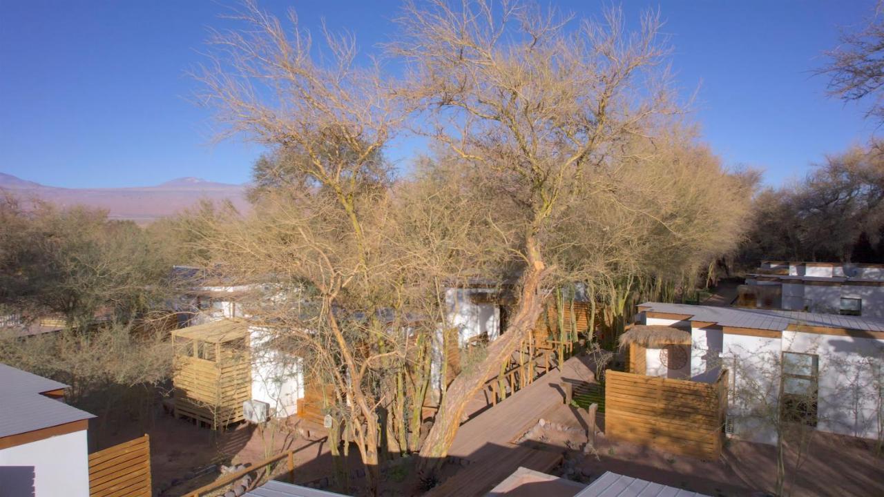 Lodge Quelana 圣佩德罗·德·阿塔卡马 外观 照片